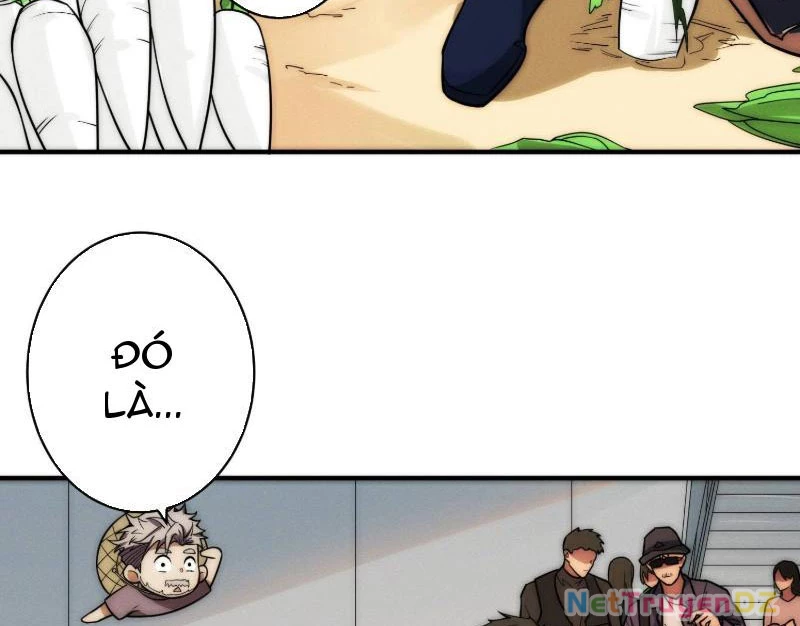 Tin Tức Của Toàn Tri Giả Chapter 3 - Trang 3