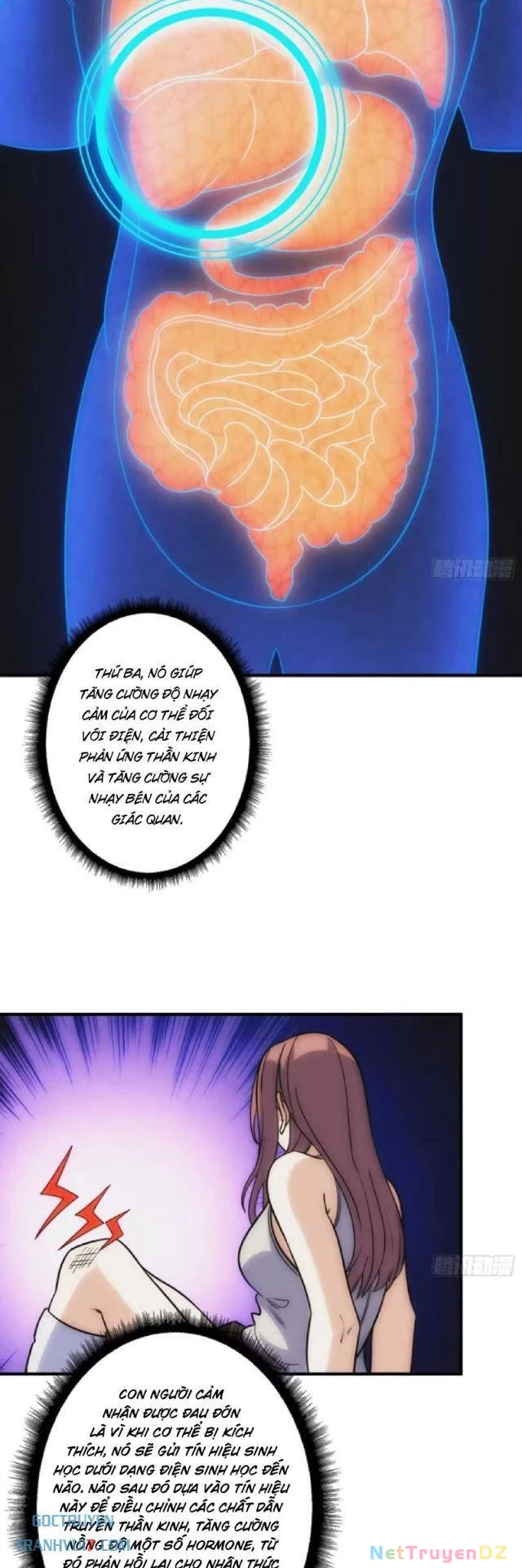 Tin Tức Của Toàn Tri Giả Chapter 12 - Trang 3