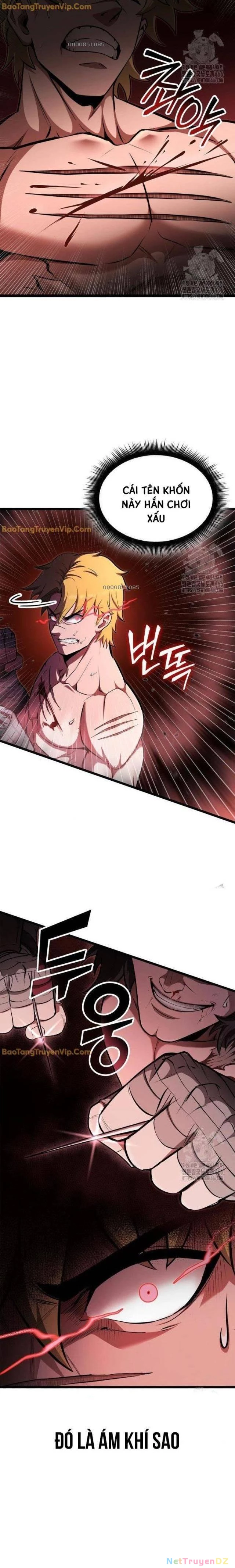 Nhà Vô Địch Kalli Chapter 95 - Trang 4