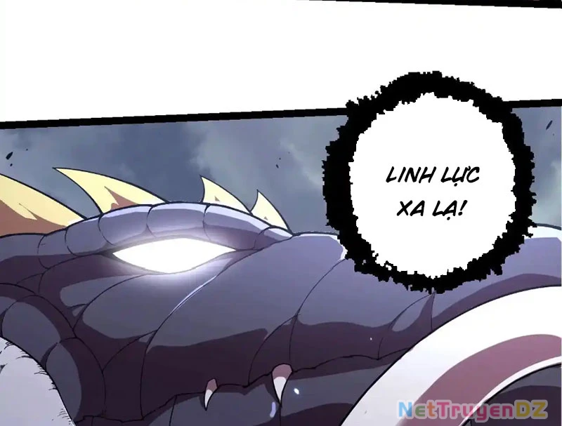 Chuyển Sinh Thành Liễu Đột Biến Chapter 314 - Trang 4