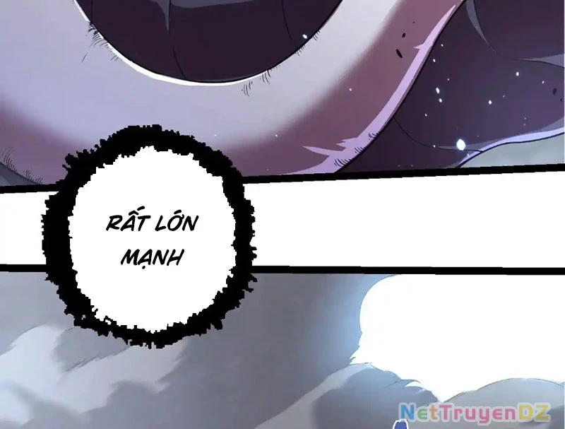 Chuyển Sinh Thành Liễu Đột Biến Chapter 314 - Trang 4