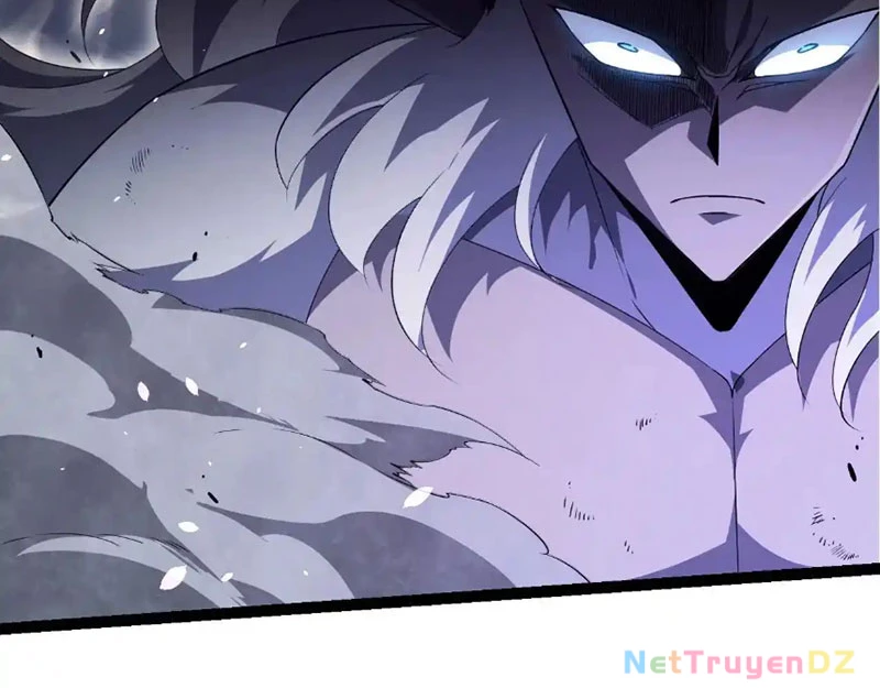 Chuyển Sinh Thành Liễu Đột Biến Chapter 314 - Trang 4