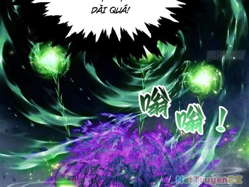Hoá Ra Ta Đã Vô Địch Từ Lâu Chapter 222 - Trang 4