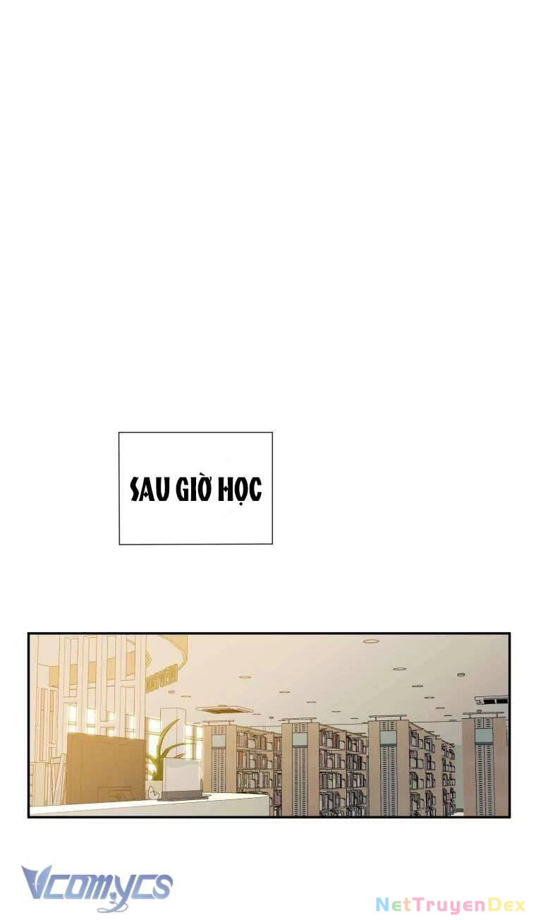 Điều Ước Sao Băng Chapter 5 - Trang 2