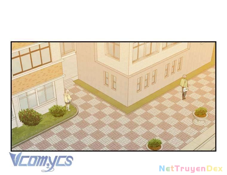 Điều Ước Sao Băng Chapter 6 - Trang 2