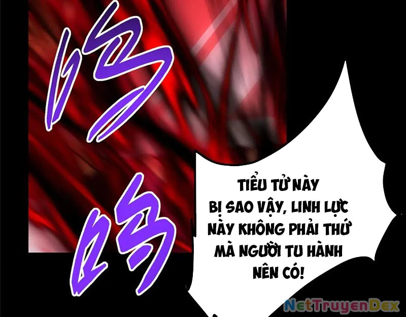 Chưởng Môn Khiêm Tốn Chút Chapter 455 - Trang 4