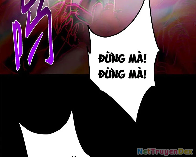 Chưởng Môn Khiêm Tốn Chút Chapter 455 - Trang 4