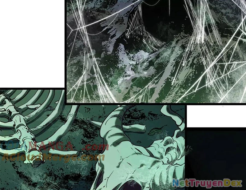 Đỉnh Cấp Khí Vận, Lặng Lẽ Tu Luyện Ngàn Năm Chapter 197 - Trang 2