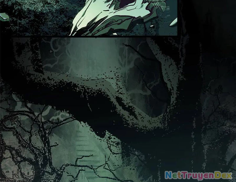 Đỉnh Cấp Khí Vận, Lặng Lẽ Tu Luyện Ngàn Năm Chapter 197 - Trang 2