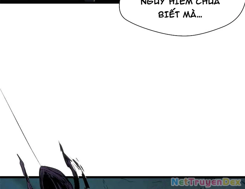 Đỉnh Cấp Khí Vận, Lặng Lẽ Tu Luyện Ngàn Năm Chapter 197 - Trang 2