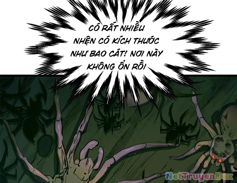 Đỉnh Cấp Khí Vận, Lặng Lẽ Tu Luyện Ngàn Năm Chapter 197 - Trang 2