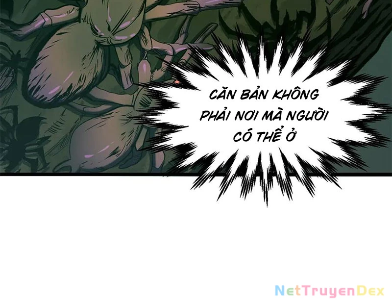 Đỉnh Cấp Khí Vận, Lặng Lẽ Tu Luyện Ngàn Năm Chapter 197 - Trang 2