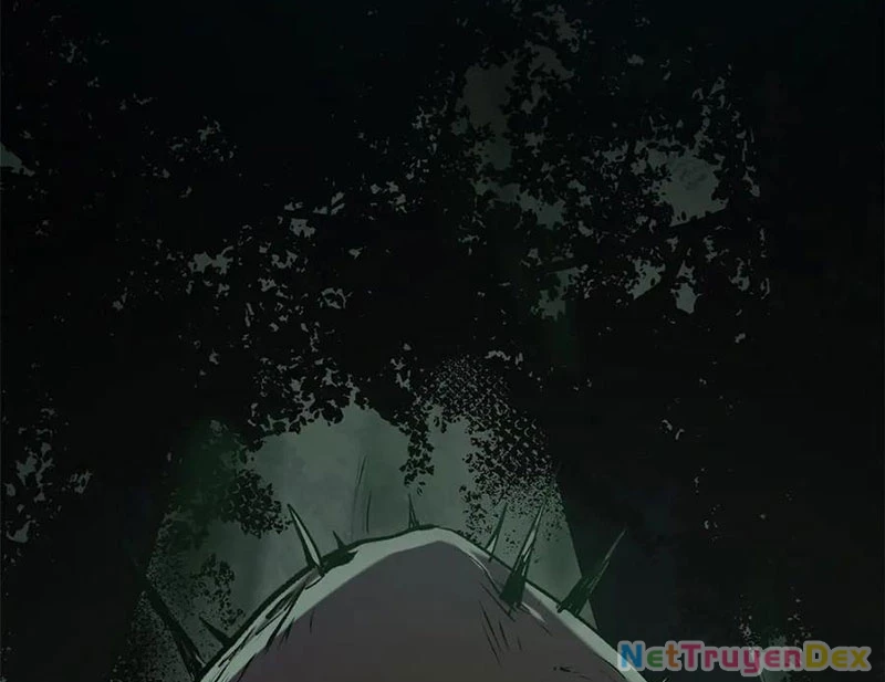 Đỉnh Cấp Khí Vận, Lặng Lẽ Tu Luyện Ngàn Năm Chapter 197 - Trang 2