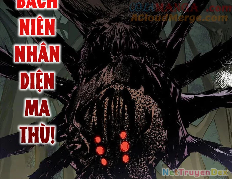 Đỉnh Cấp Khí Vận, Lặng Lẽ Tu Luyện Ngàn Năm Chapter 197 - Trang 2