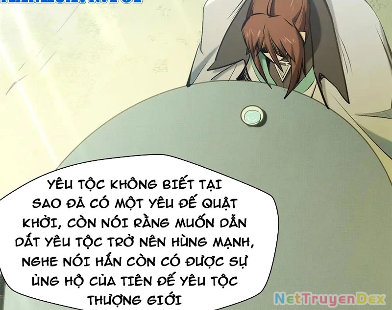 Đỉnh Cấp Khí Vận, Lặng Lẽ Tu Luyện Ngàn Năm Chapter 197 - Trang 2