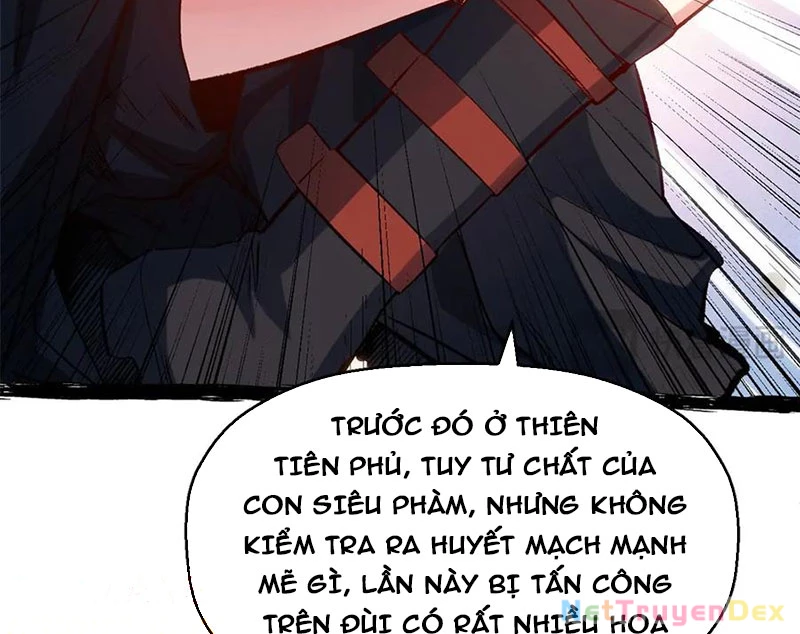 Đỉnh Cấp Khí Vận, Lặng Lẽ Tu Luyện Ngàn Năm Chapter 197 - Trang 2