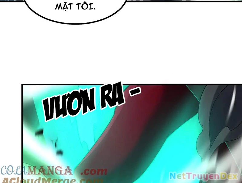 Thần Sủng Tiến Hóa Chapter 370 - Trang 4