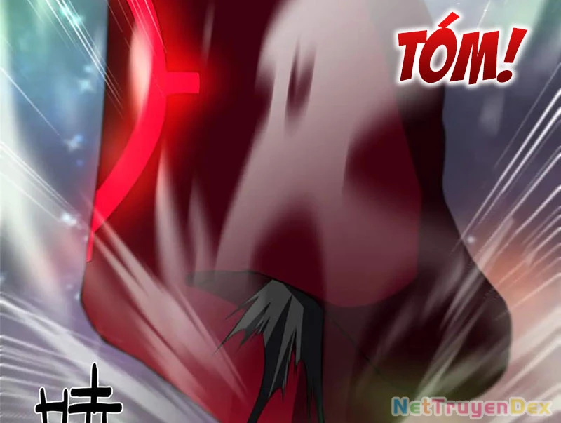 Thần Sủng Tiến Hóa Chapter 370 - Trang 4