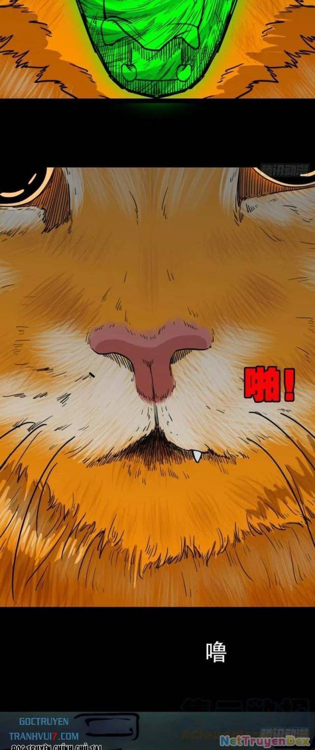 Đấu Yếm Thần Chapter 161 - Trang 3