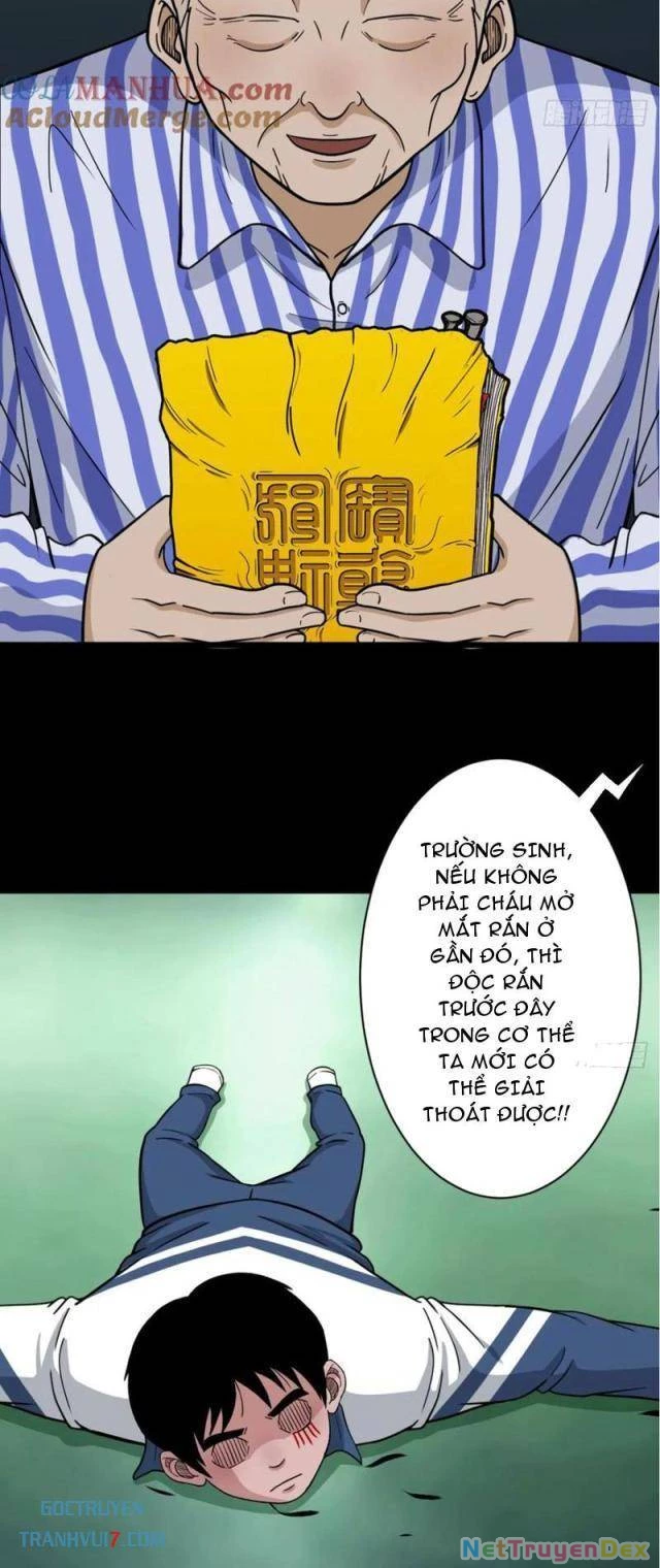 Đấu Yếm Thần Chapter 167 - Trang 3