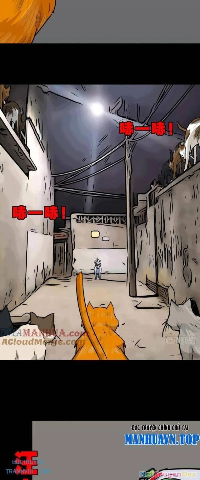 Đấu Yếm Thần Chapter 174 - Trang 3