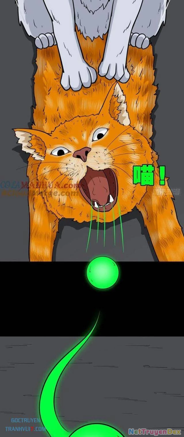 Đấu Yếm Thần Chapter 174 - Trang 3