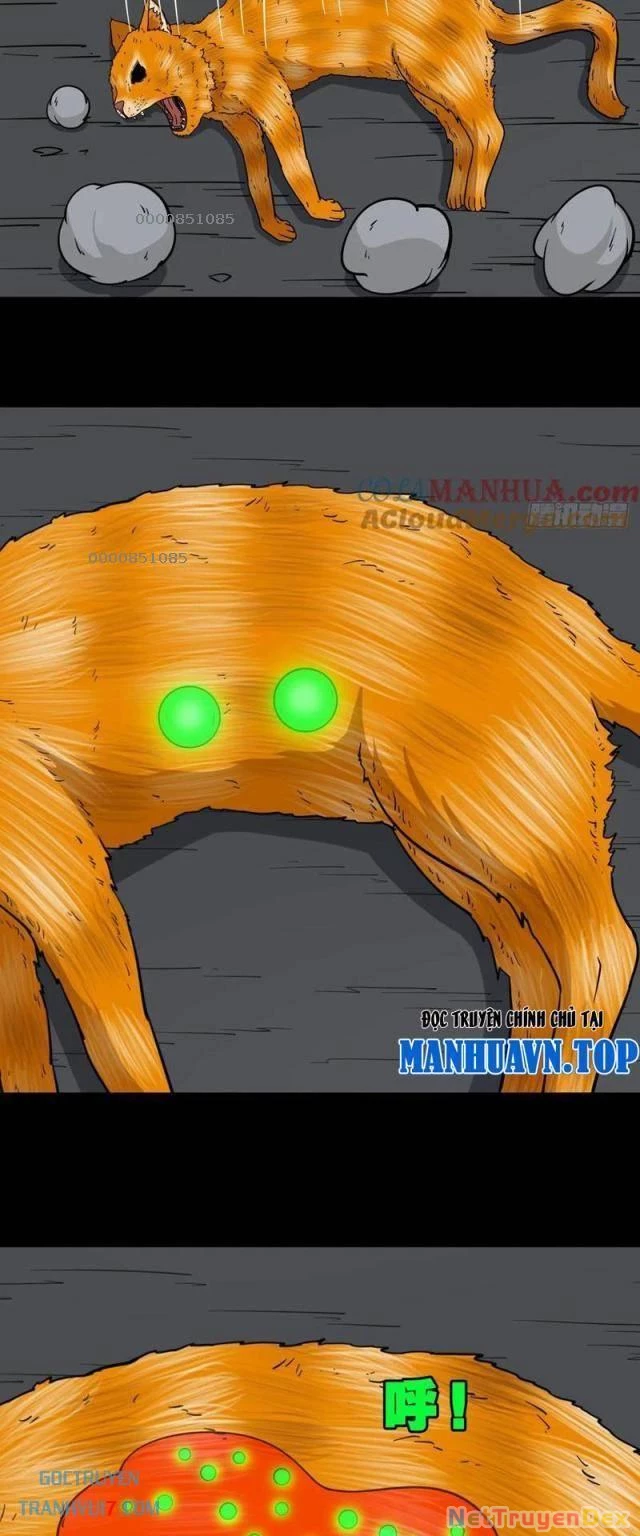 Đấu Yếm Thần Chapter 175 - Trang 3