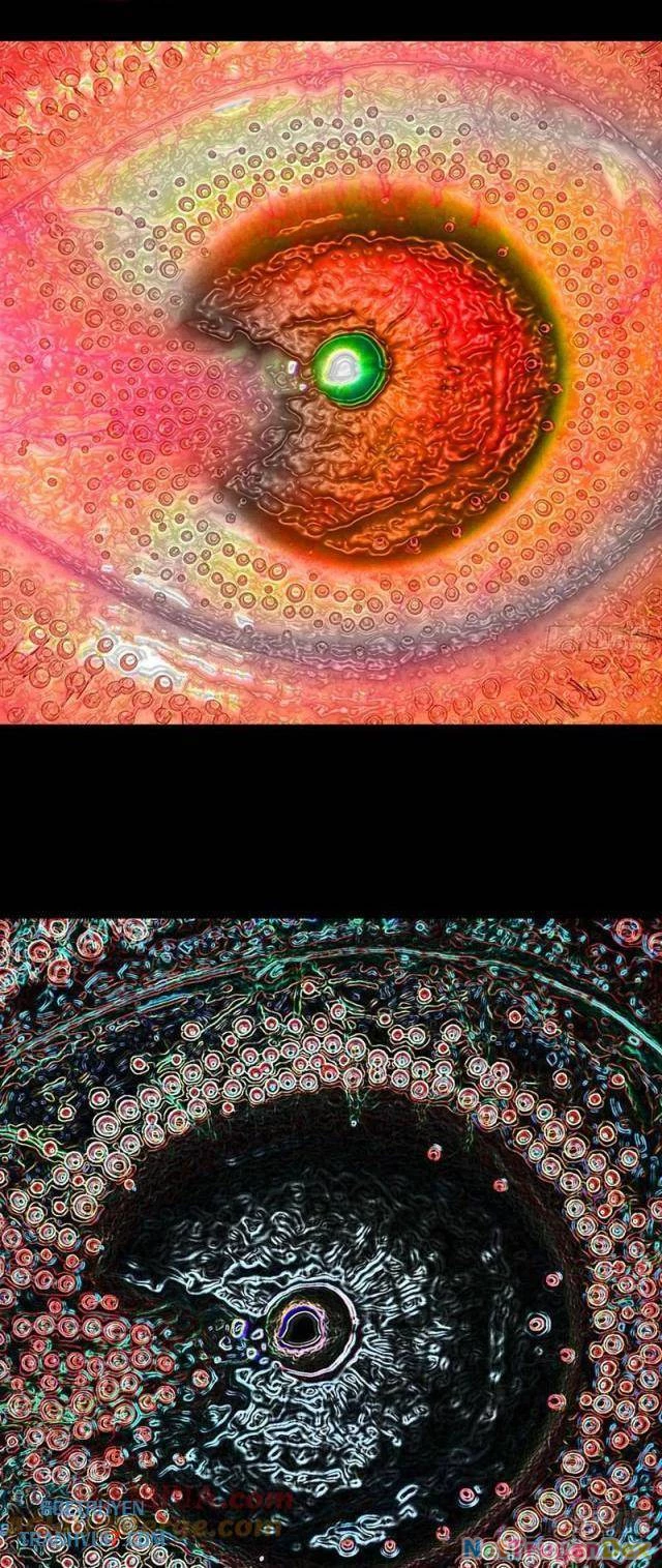 Đấu Yếm Thần Chapter 201 - Trang 3