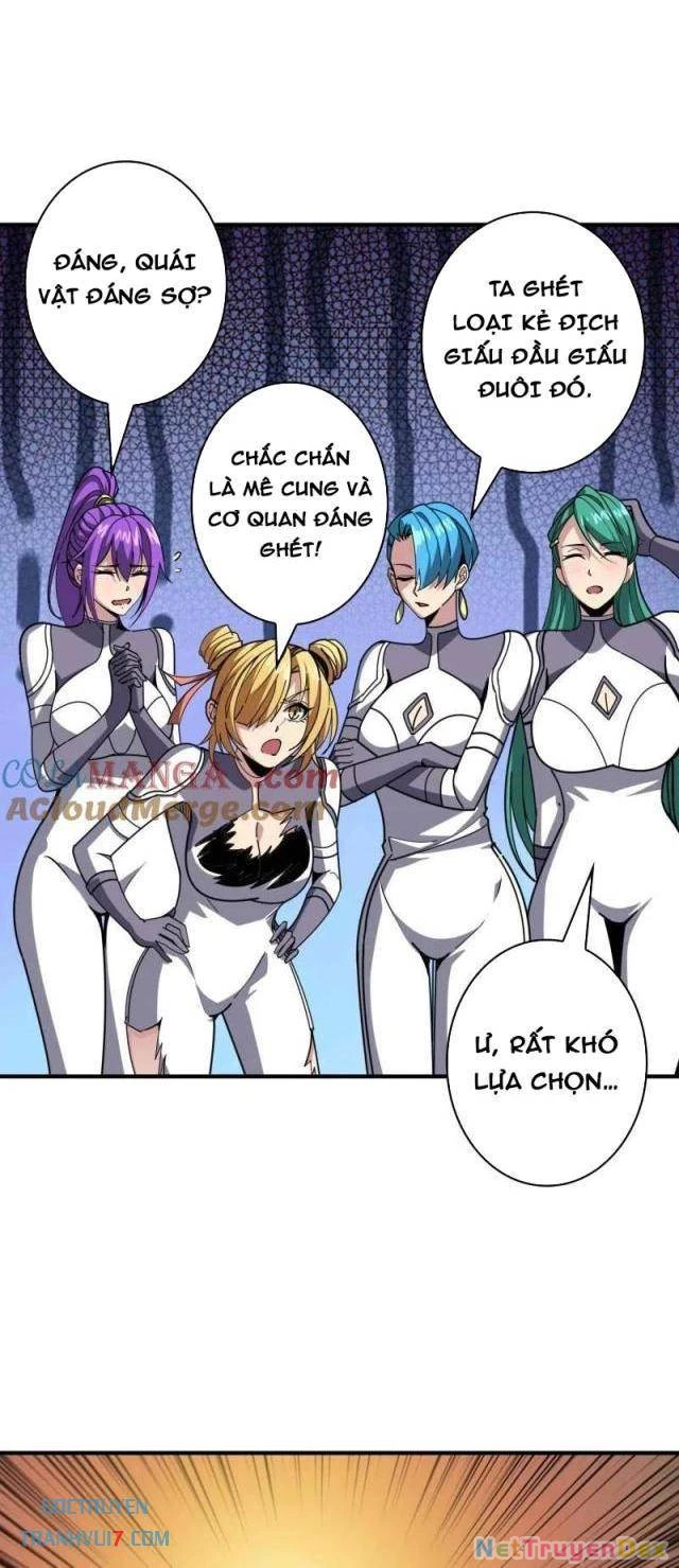 Vừa Chơi Đã Có Tài Khoản Vương Giả Chapter 499 - Trang 4