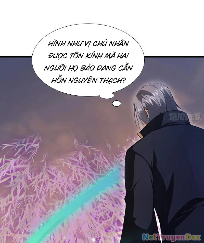 Hoá Ra Ta Đã Vô Địch Từ Lâu Chapter 223 - Trang 4