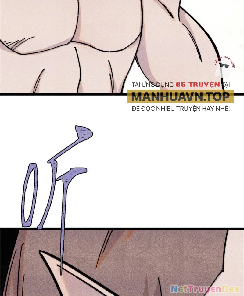 Vạn Cổ Tối Cường Tông Chapter 386 - Trang 4