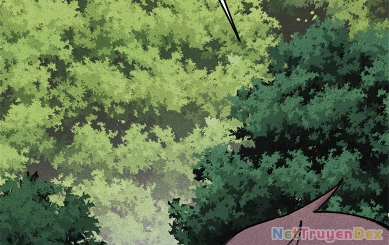 Vạn Cổ Tối Cường Tông Chapter 386 - Trang 4