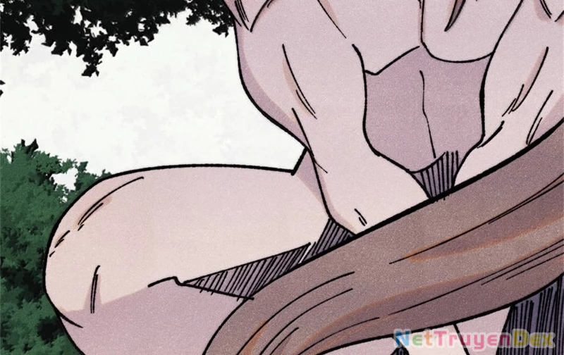 Vạn Cổ Tối Cường Tông Chapter 386 - Trang 4
