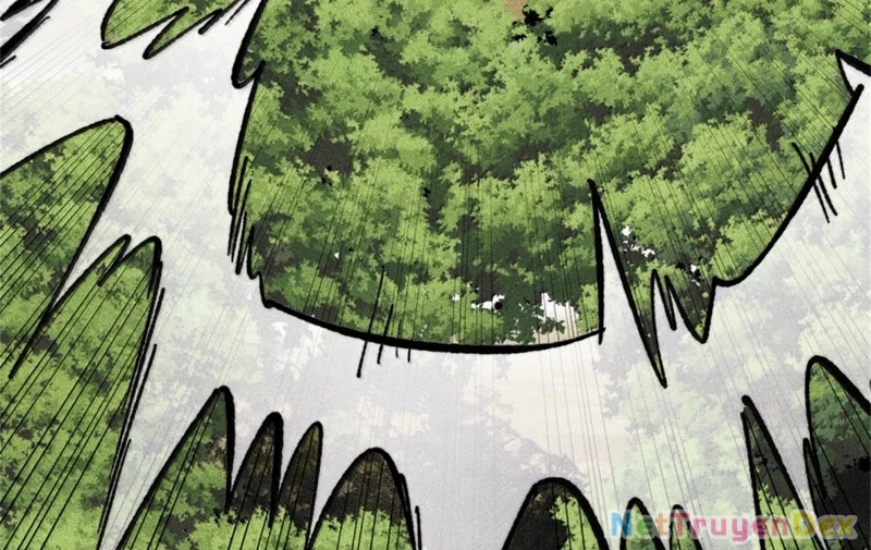 Vạn Cổ Tối Cường Tông Chapter 386 - Trang 4