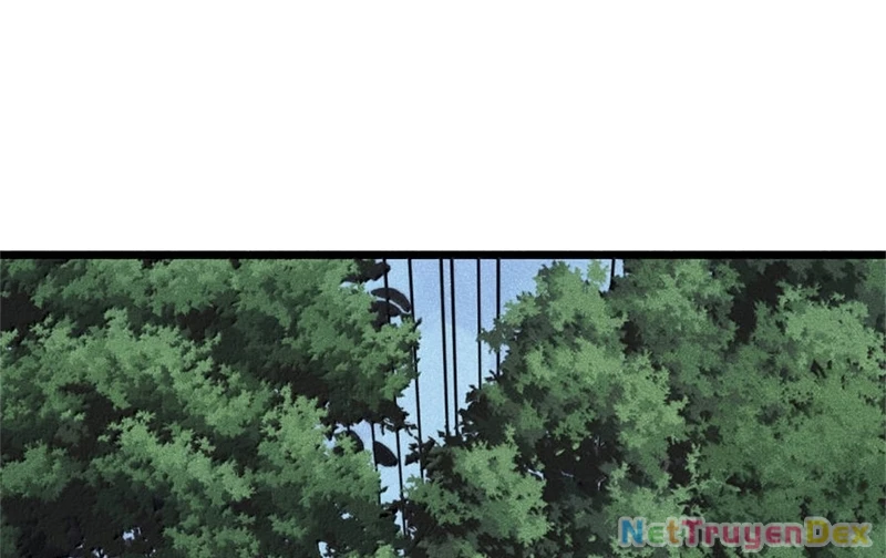 Vạn Cổ Tối Cường Tông Chapter 386 - Trang 4