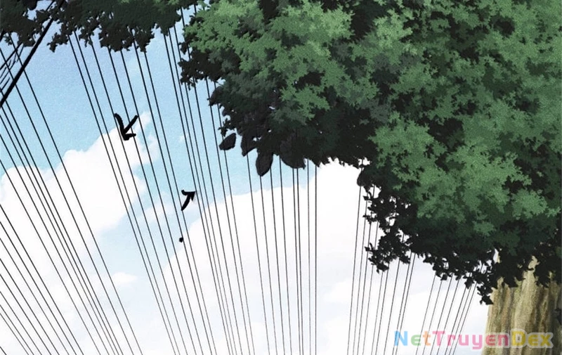 Vạn Cổ Tối Cường Tông Chapter 386 - Trang 4