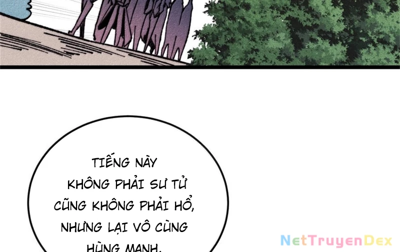 Vạn Cổ Tối Cường Tông Chapter 386 - Trang 4