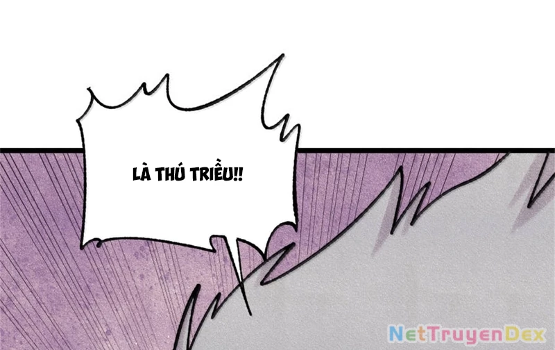 Vạn Cổ Tối Cường Tông Chapter 386 - Trang 4