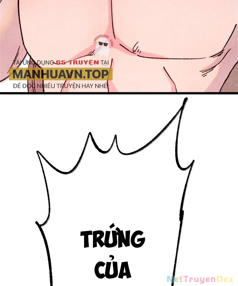 Vạn Cổ Tối Cường Tông Chapter 386 - Trang 4