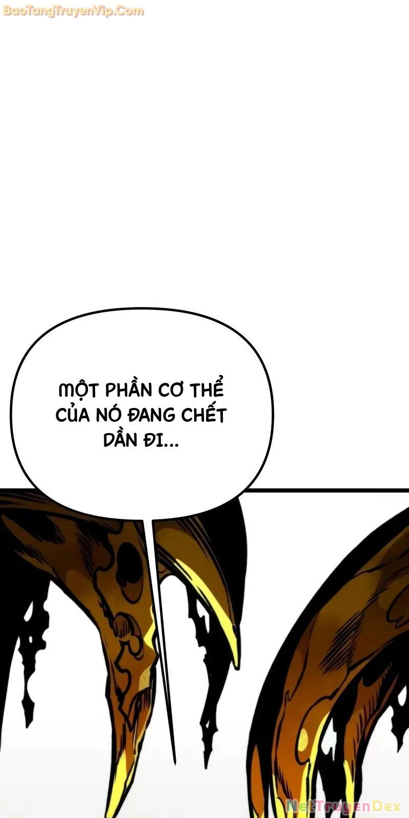 Chiến Binh Hồi Quy Chapter 61 - Trang 4