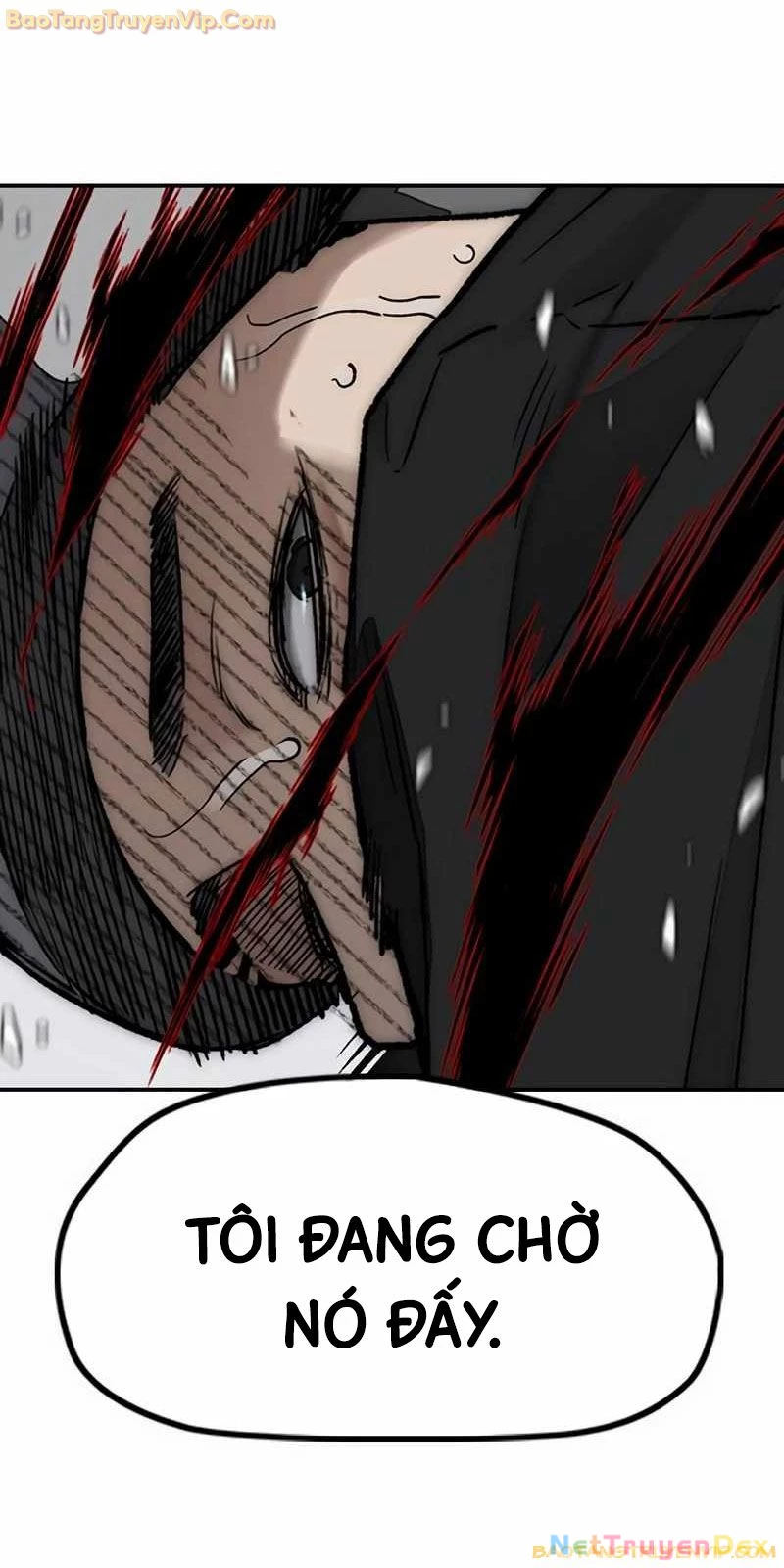 Thể Thao Cực Hạn Chapter 530 - Trang 4