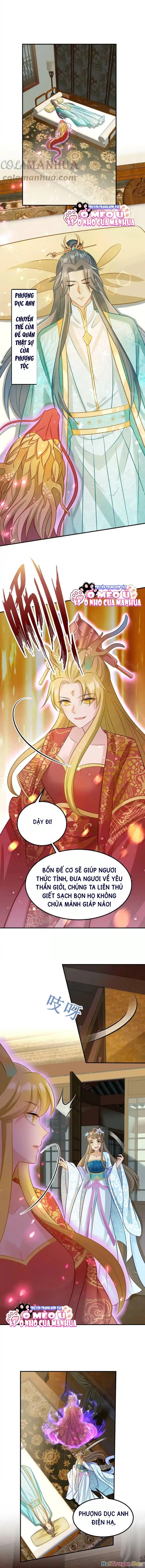 Thiên Tài Manh Bảo , Mẫu Thân Nghịch Thiên Bật Hack Rồi! Chapter 1 - Trang 3