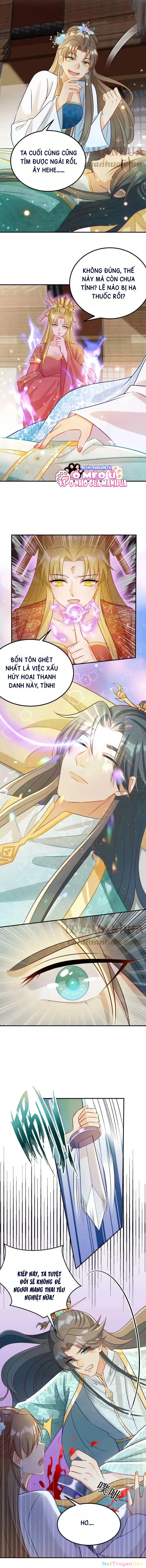 Thiên Tài Manh Bảo , Mẫu Thân Nghịch Thiên Bật Hack Rồi! Chapter 1 - Trang 3