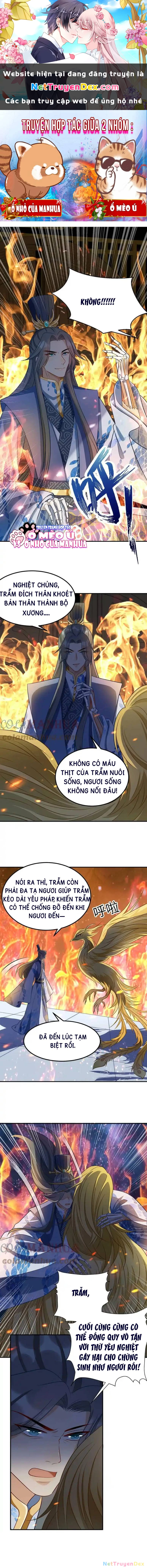 Thiên Tài Manh Bảo , Mẫu Thân Nghịch Thiên Bật Hack Rồi! Chapter 2 - Trang 3