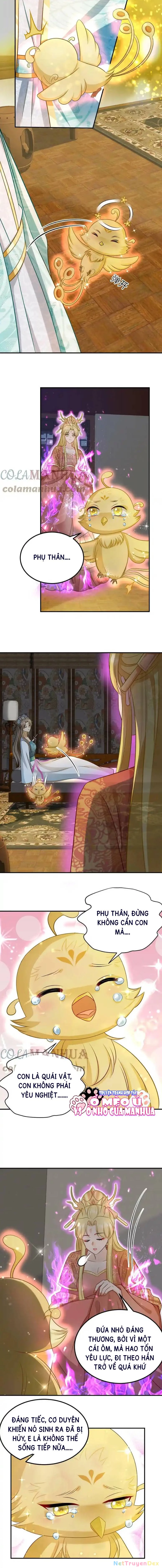 Thiên Tài Manh Bảo , Mẫu Thân Nghịch Thiên Bật Hack Rồi! Chapter 2 - Trang 3