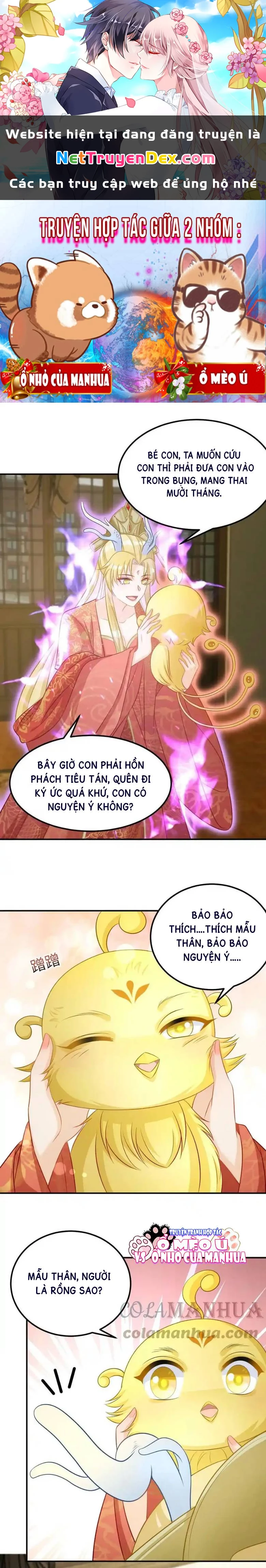 Thiên Tài Manh Bảo , Mẫu Thân Nghịch Thiên Bật Hack Rồi! Chapter 3 - Trang 3