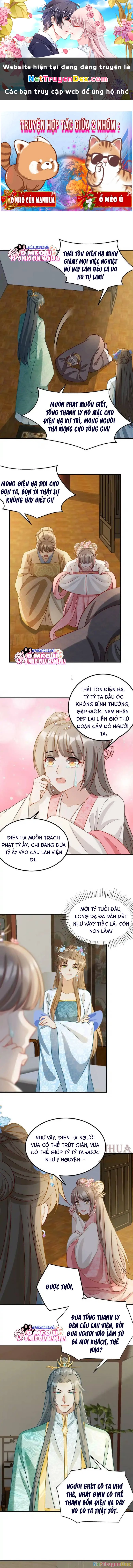 Thiên Tài Manh Bảo , Mẫu Thân Nghịch Thiên Bật Hack Rồi! Chapter 5 - Trang 3