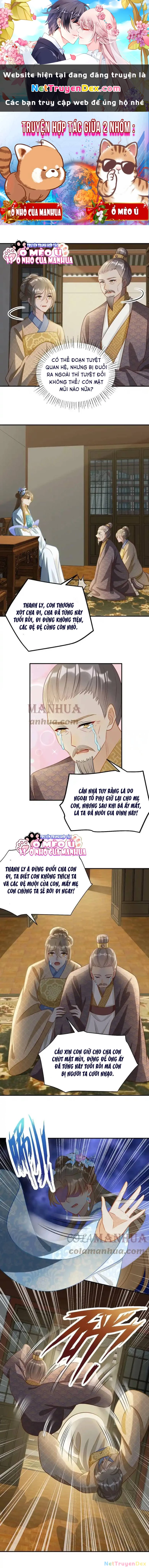 Thiên Tài Manh Bảo , Mẫu Thân Nghịch Thiên Bật Hack Rồi! Chapter 7 - Trang 3