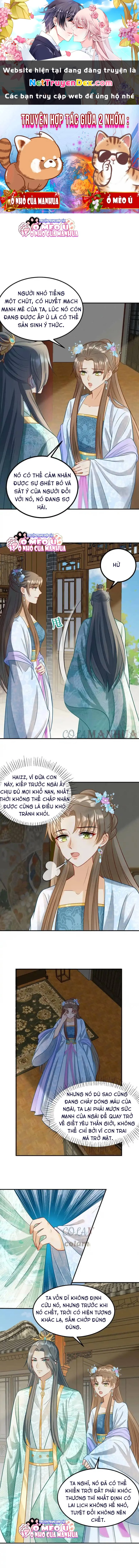 Thiên Tài Manh Bảo , Mẫu Thân Nghịch Thiên Bật Hack Rồi! Chapter 8 - Trang 3