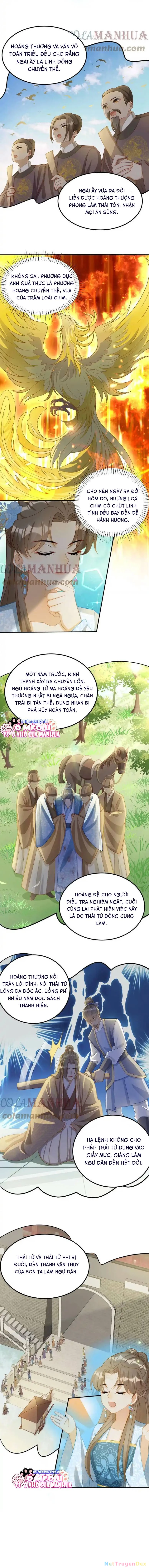 Thiên Tài Manh Bảo , Mẫu Thân Nghịch Thiên Bật Hack Rồi! Chapter 9 - Trang 3